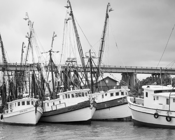 Shrimp Boats in Savannah, GA